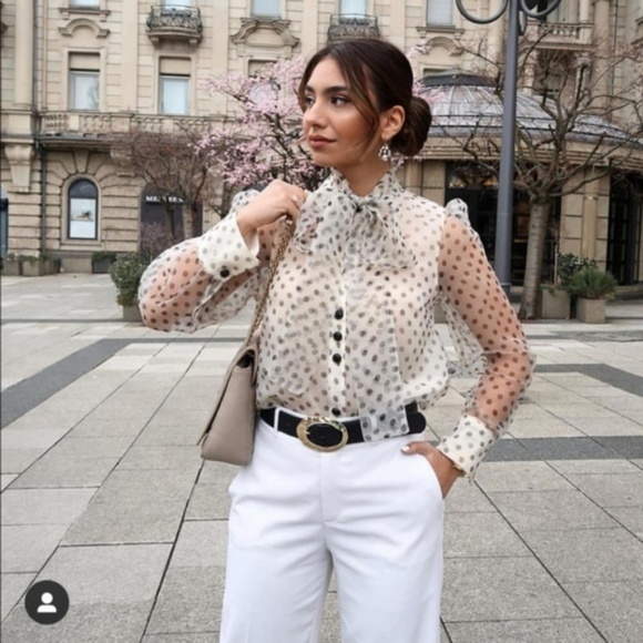 sheer blouse zara